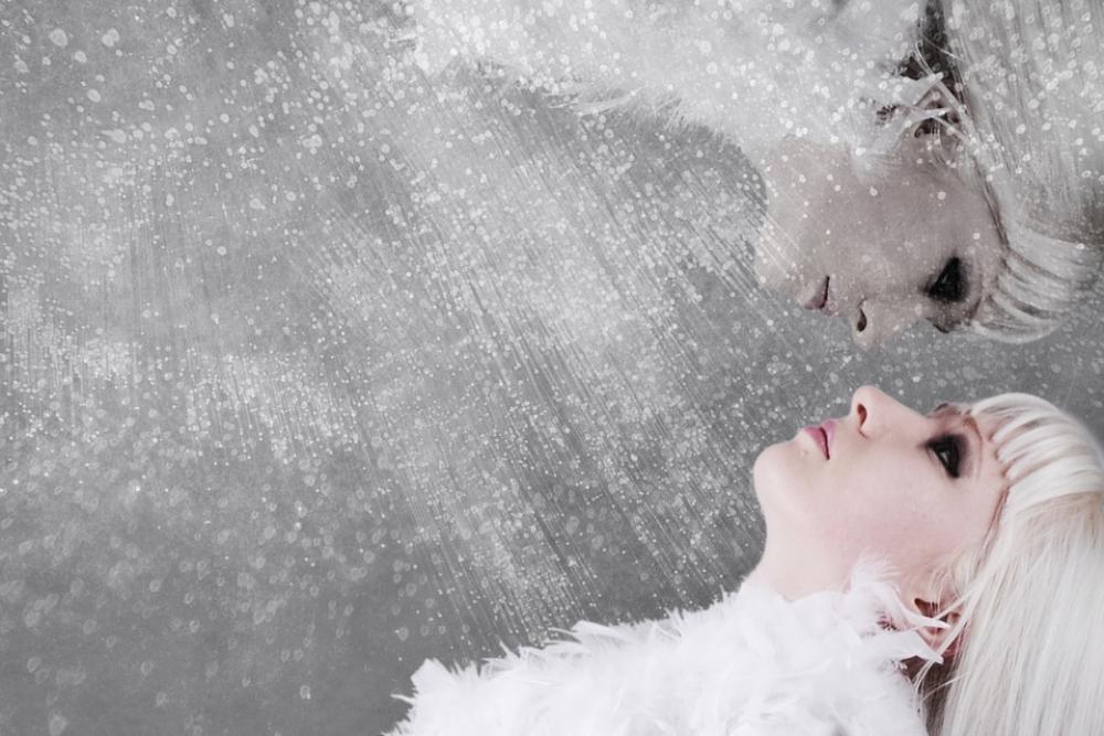 The Snow Queen Woman Cold Blonde Split Person The Snow Queen Woman Cold Blonde Split Person
