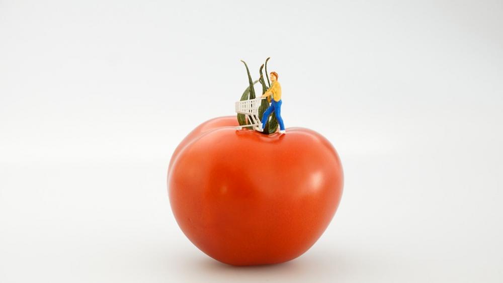 Tomato Vegetable Red Food Shopping Shopper Tomato Vegetable Red Food Shopping Shopper