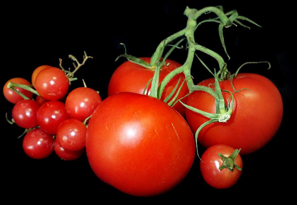 Tomatoes Food Vegetables Healthy Cooking Tomatoes Food Vegetables Healthy Cooking