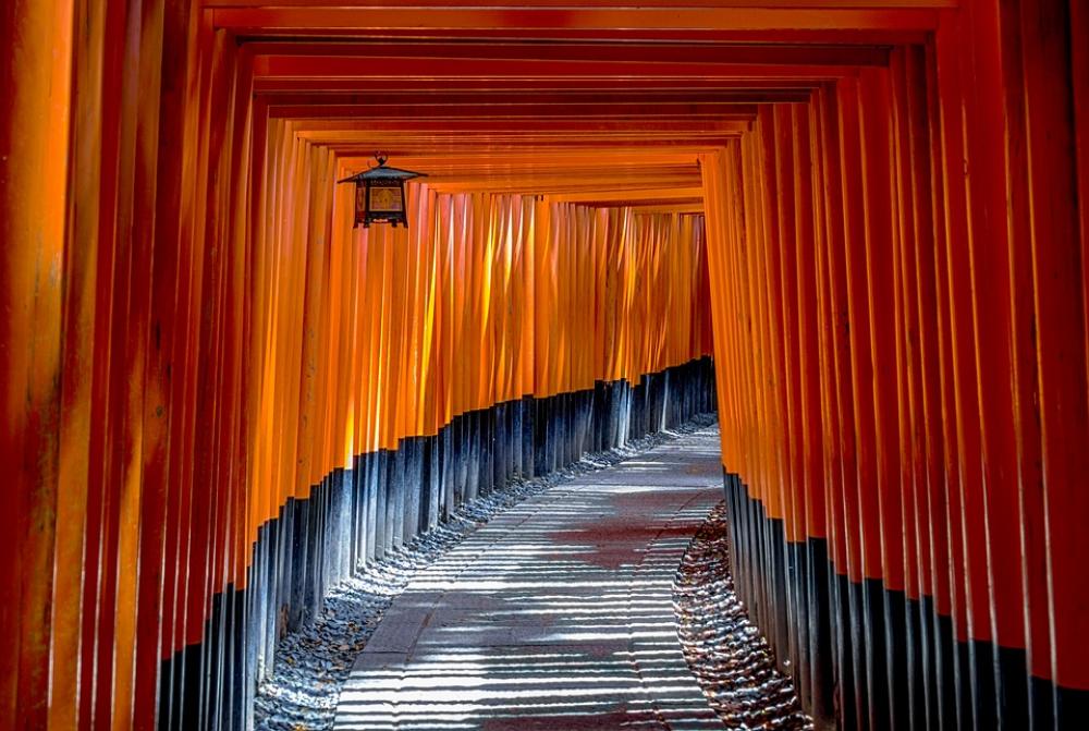 Torii Gate Architecture Culture Traditional Japan Torii Gate Architecture Culture Traditional Japan