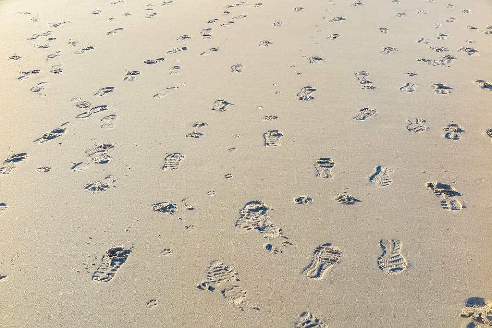 Traces Beach Sand Footprints Sand Beach Footprint Traces Beach Sand Footprints Sand Beach Footprint