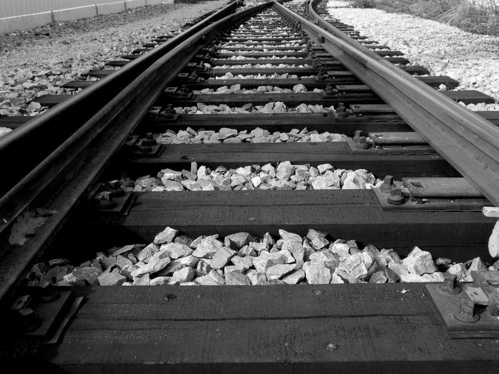 Track Stones Wood Black And White Track Stones Wood Black And White