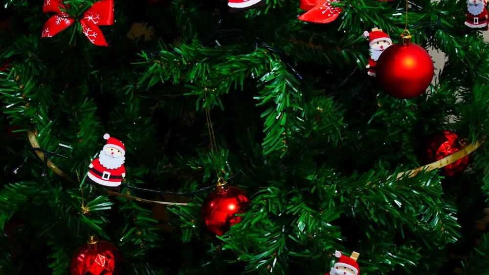 Tree Christmas December Decoration Red Decorate Tree Christmas December Decoration Red Decorate