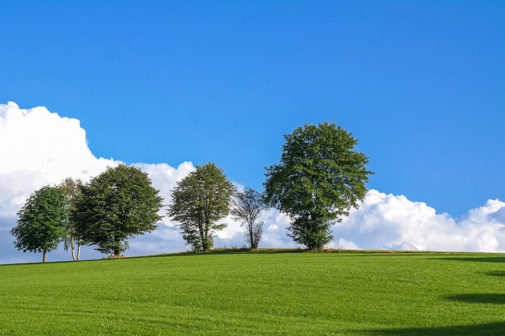 Trees Clouds Meadow Nature Trees Clouds Meadow Nature