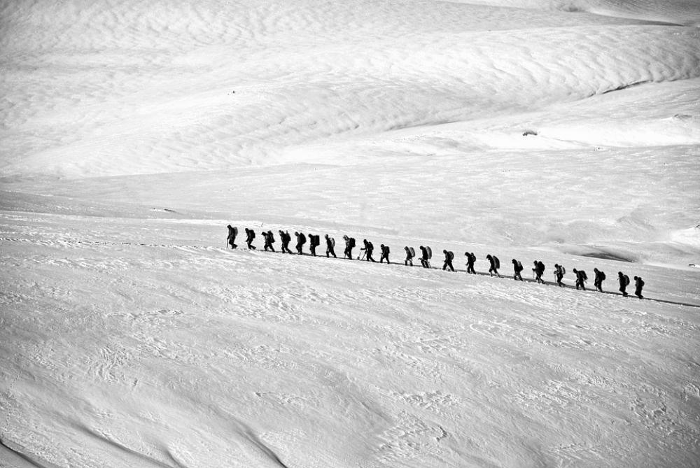Trekking Hiking Group Alpine Line People Trekking Hiking Group Alpine Line People