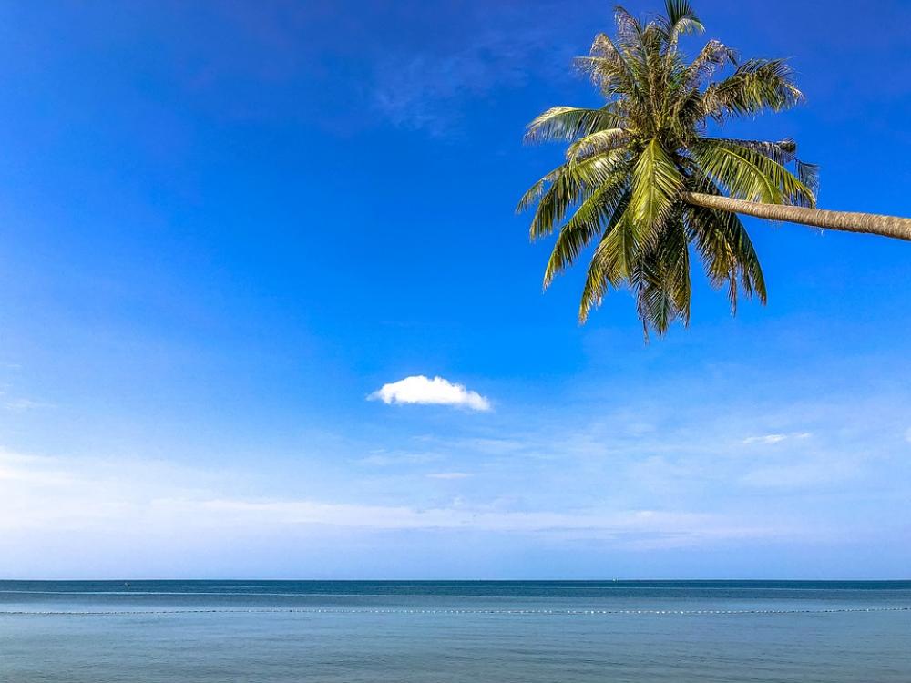 Vietnam Palma Travel Sky Tropical The Tropical Vietnam Palma Travel Sky Tropical The Tropical