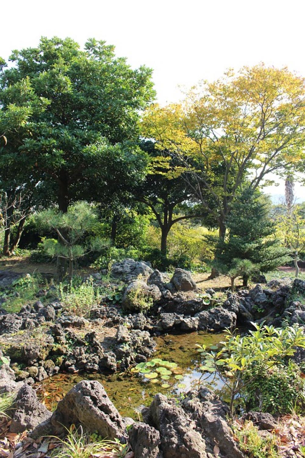 Walk Garden Landscape Wood Pond Walk Garden Landscape Wood Pond