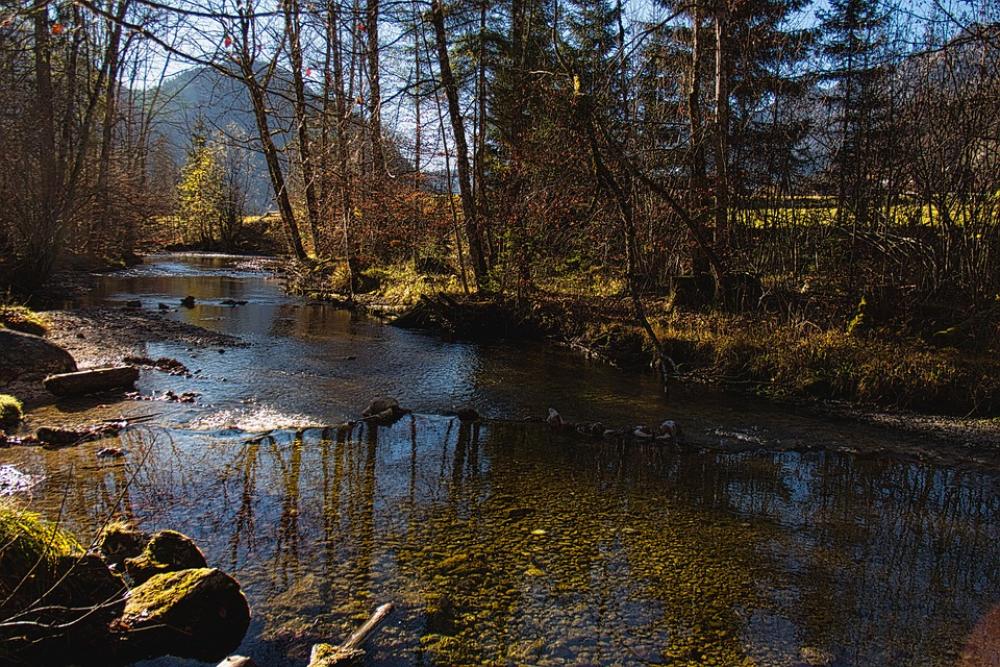 Water River Stream Ripple Water River Stream Ripple