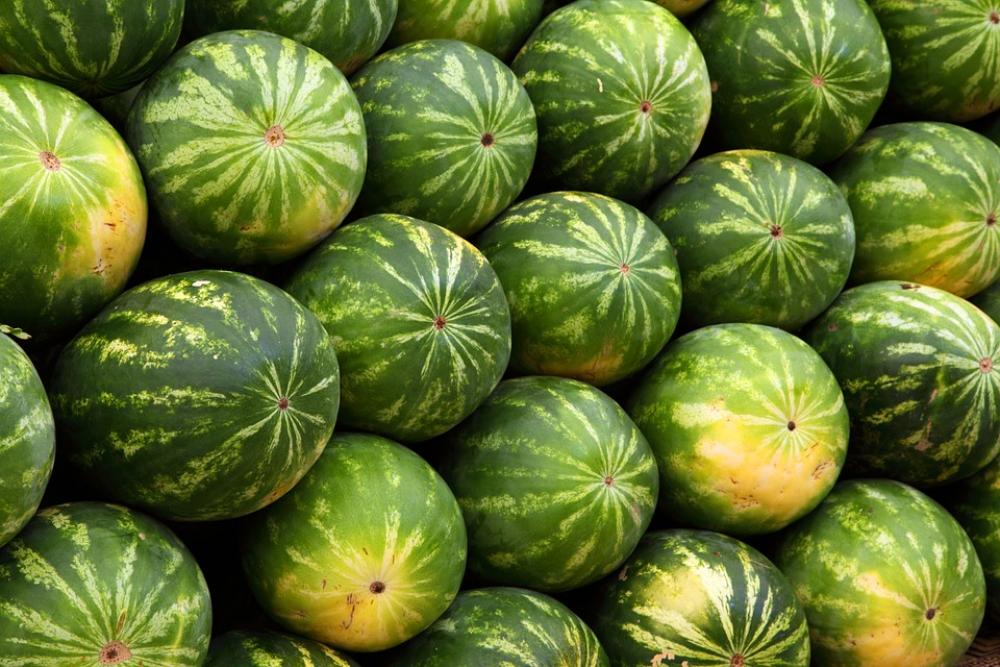 Watermelon Background Food Fruit Green Juicy Watermelon Background Food Fruit Green Juicy