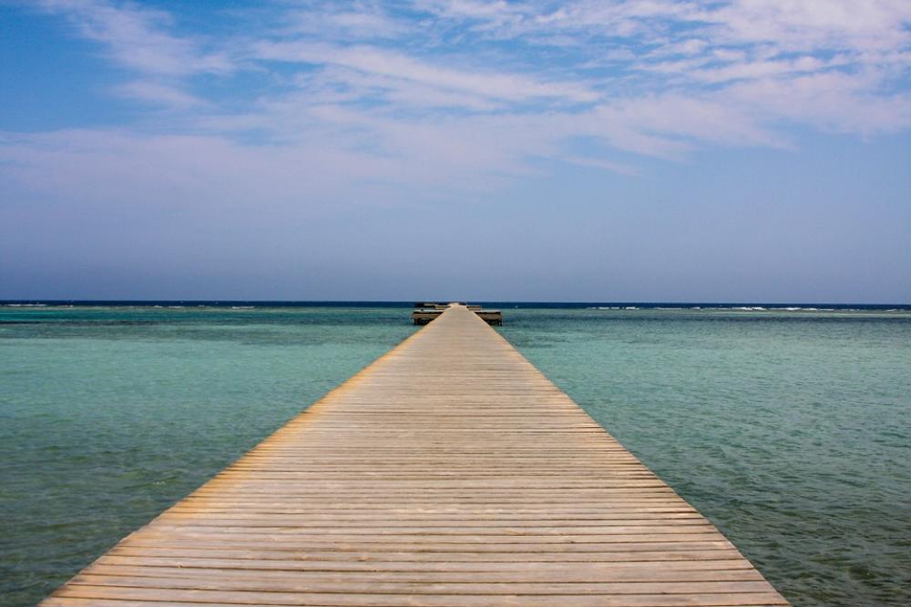 Web Sea Red Sea Marsa Alam Egypt Boardwalk Web Sea Red Sea Marsa Alam Egypt Boardwalk