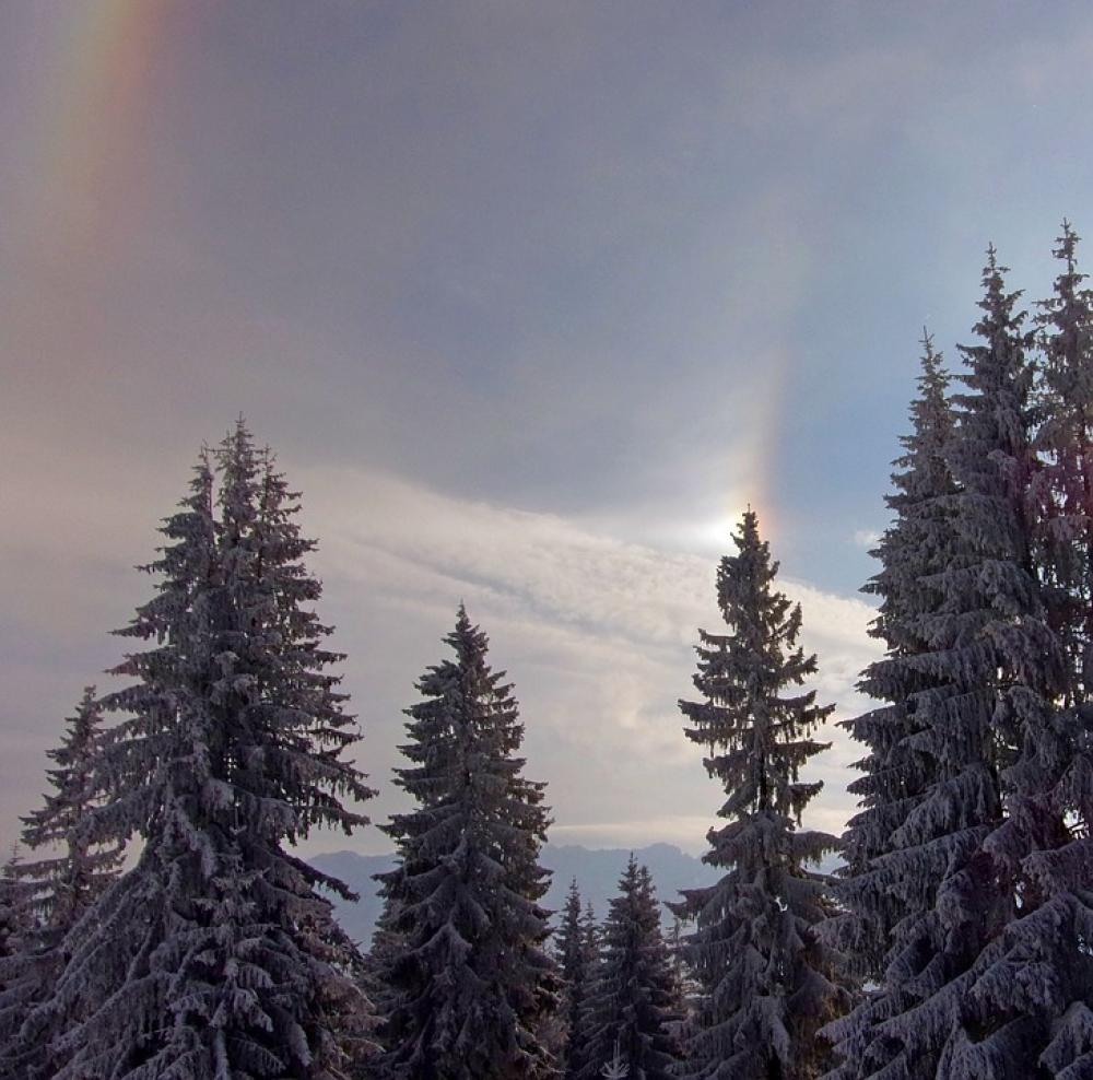 Winter Landscape Cold Nature Snowy Idyllic Pines Winter Landscape Cold Nature Snowy Idyllic Pines