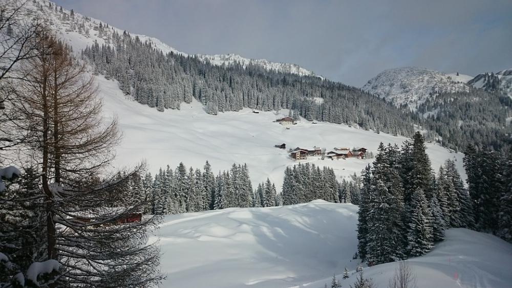 Winter Wintry Snow Cold Nature Snowy Winter Dream Winter Wintry Snow Cold Nature Snowy Winter Dream