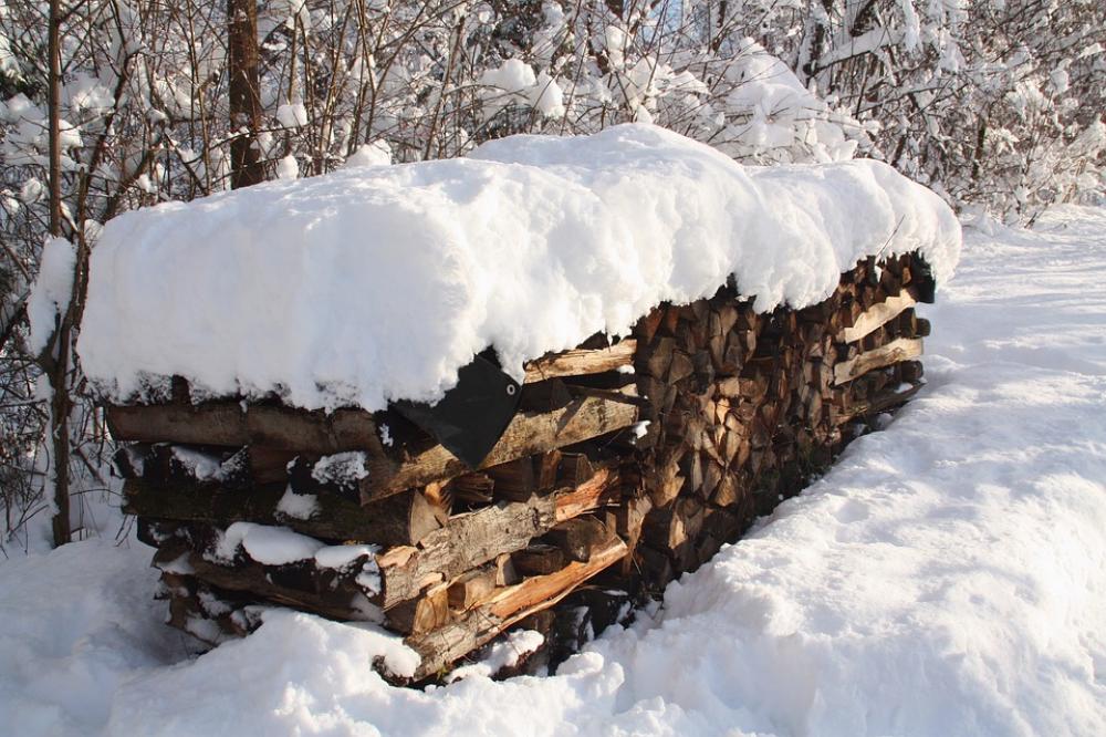 Winter Snow Firewood Forest Trees Snow Landscape Winter Snow Firewood Forest Trees Snow Landscape