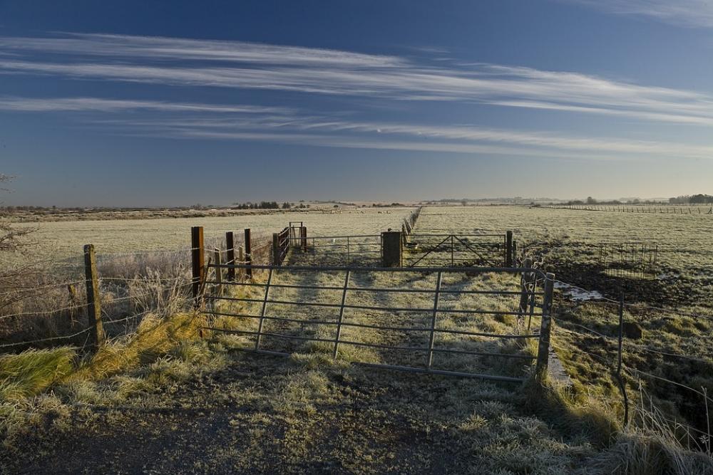 Winter Frost Field Sky Rural Ireland Gate Fence Winter Frost Field Sky Rural Ireland Gate Fence
