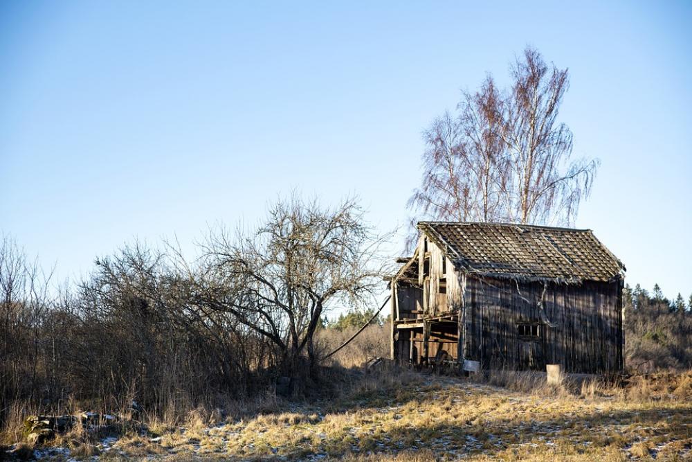 Winter Hovel Old Barn Tree House Agricultural Winter Hovel Old Barn Tree House Agricultural