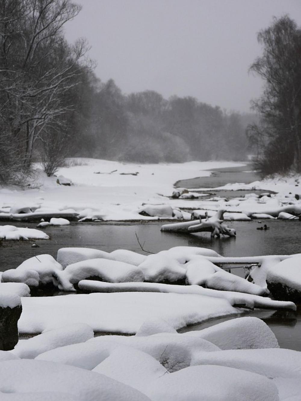 Winter Isar Munich Snow Wintry Nature Winter Isar Munich Snow Wintry Nature