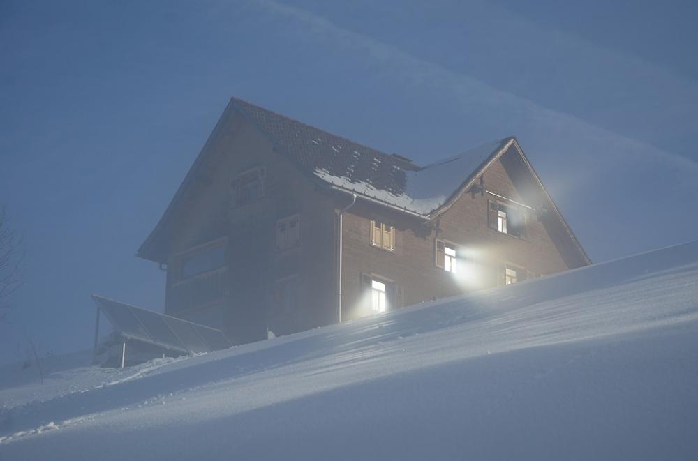 Winter Snow Fog Cold Winter Snow Fog Cold