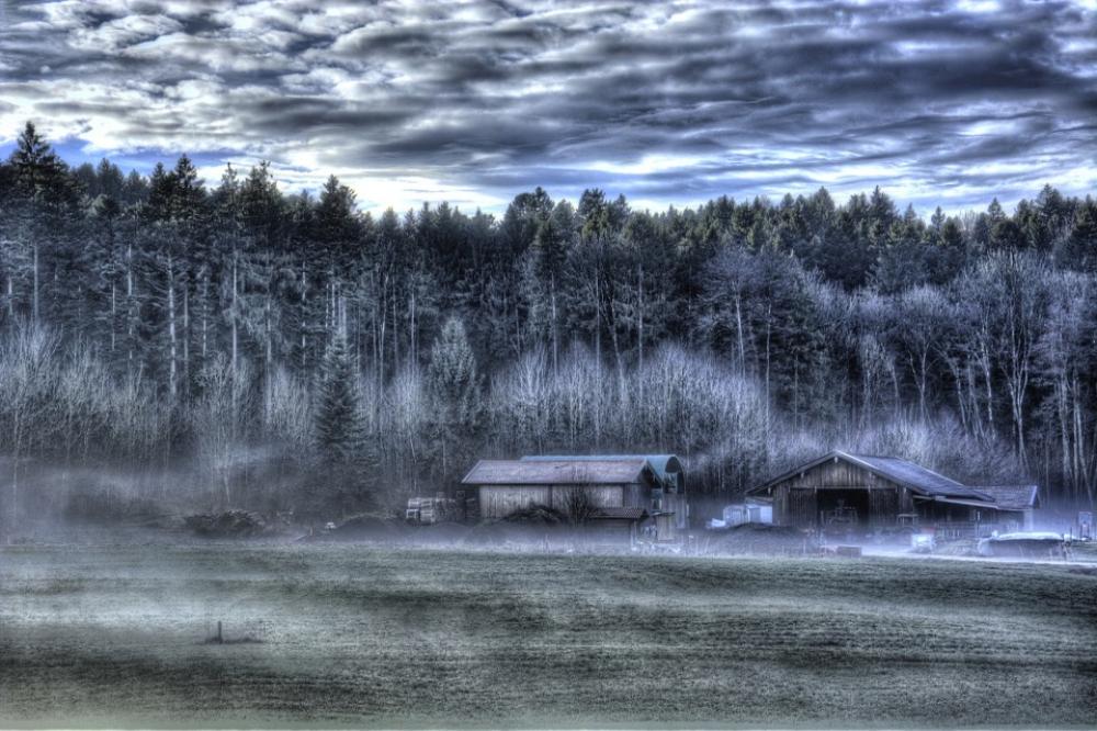 Winter Fog Landscape Cold Chiemgau Forest Trees Winter Fog Landscape Cold Chiemgau Forest Trees