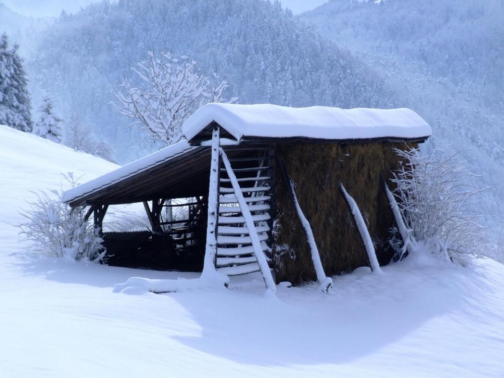 Winter White Hayrack Snow December Winter White Hayrack Snow December