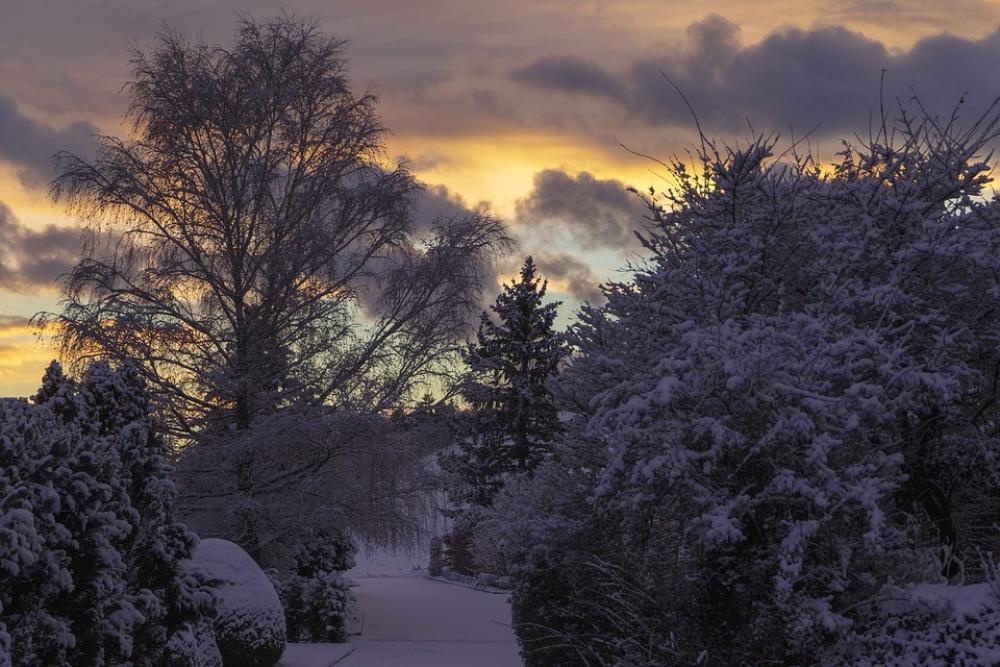 Wintry Grenchen Snow Mood Nature Snowy Sky Wintry Grenchen Snow Mood Nature Snowy Sky
