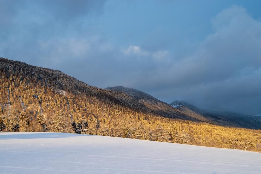 Wintry Hill Jura Clouds Mood Light Nature White Wintry Hill Jura Clouds Mood Light Nature White