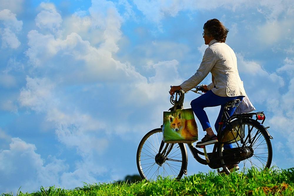 Woman Person Cyclist Bicycle Movement Exertion Woman Person Cyclist Bicycle Movement Exertion