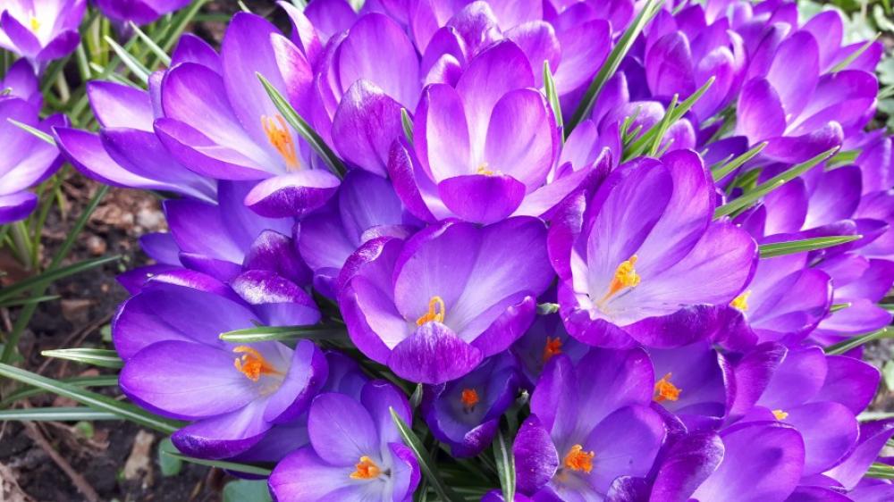 Spring is in the air Spring is in the air