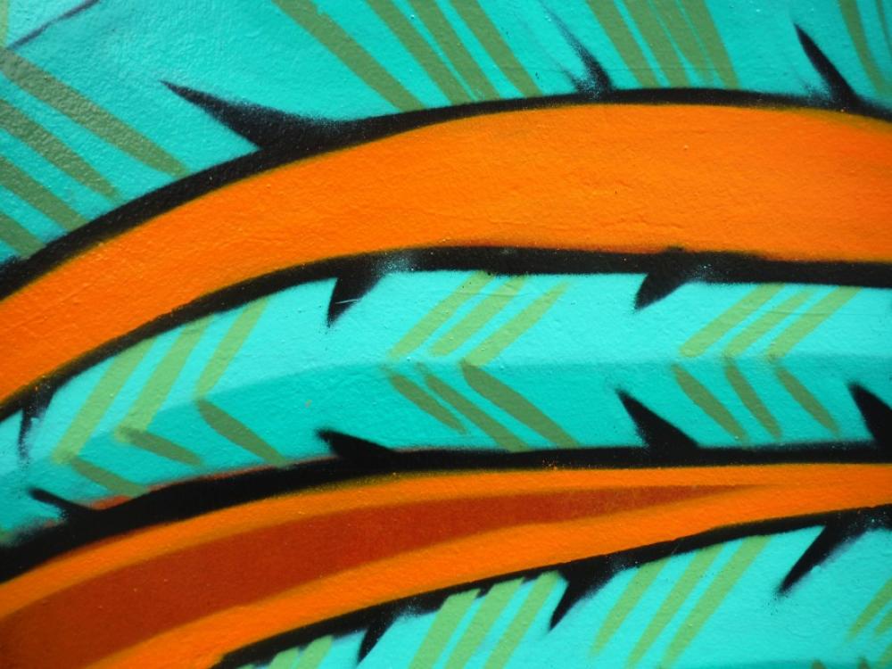 Graffiti detail-feathers Graffiti detail-feathers