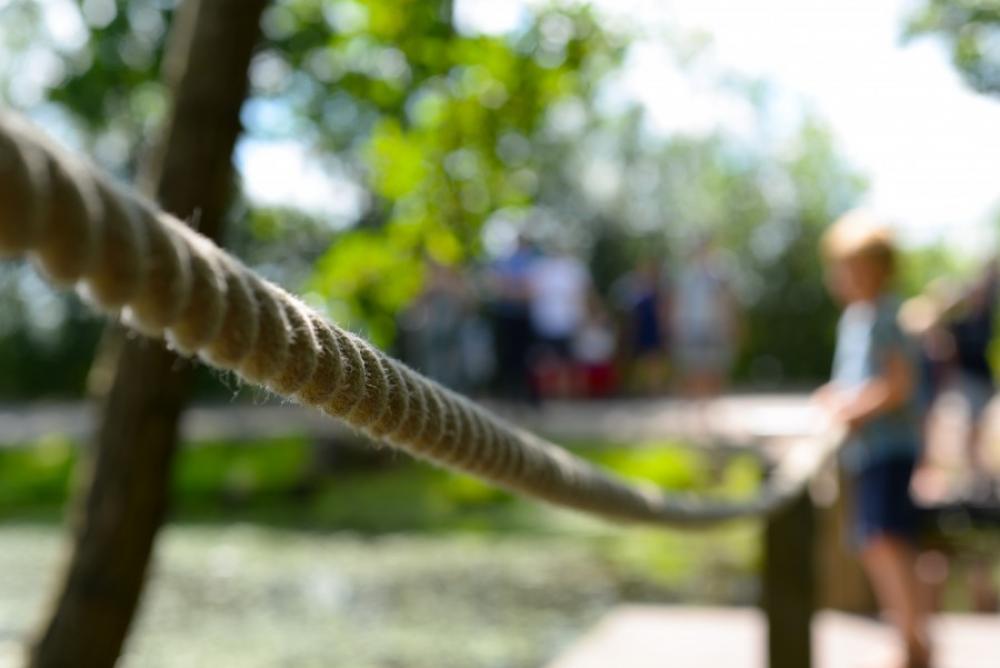The rope The rope