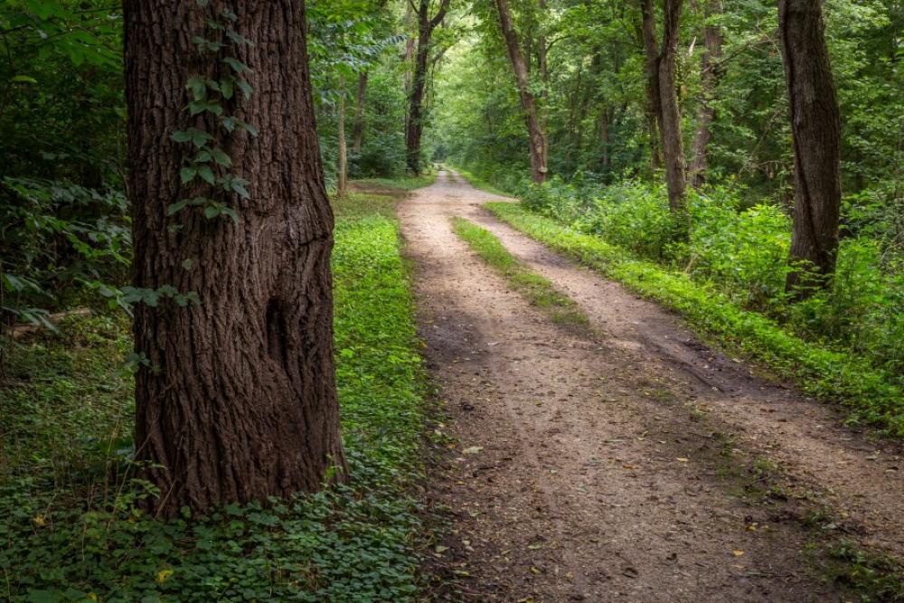 Path Path