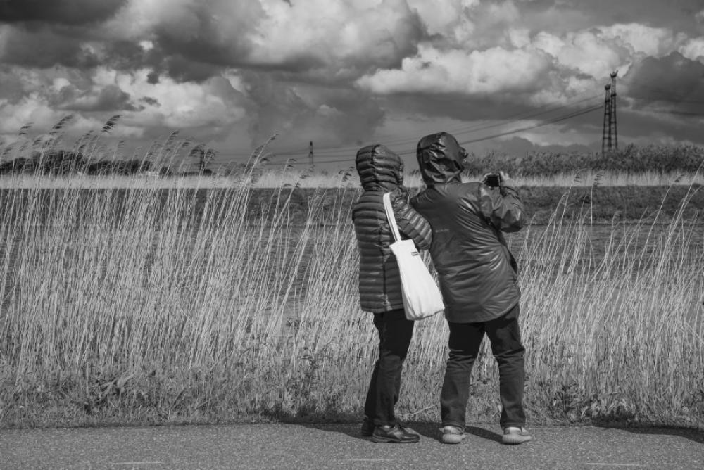 Tourists in the wind Tourists in the wind
