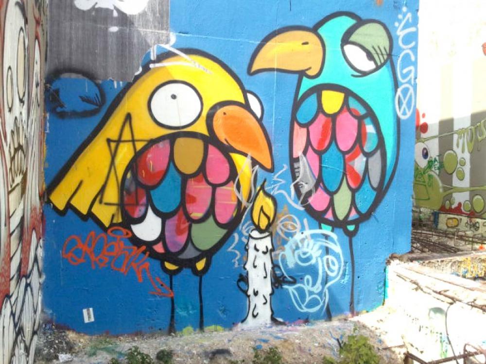 Birds Birds
