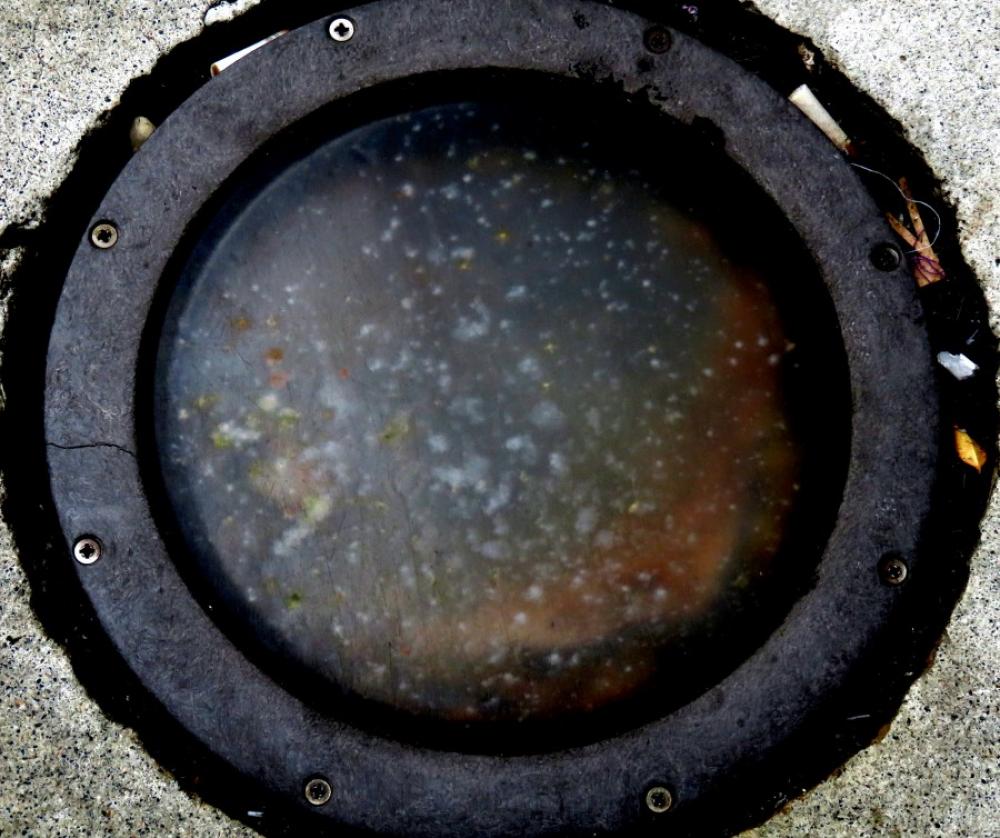 circular texture circular texture