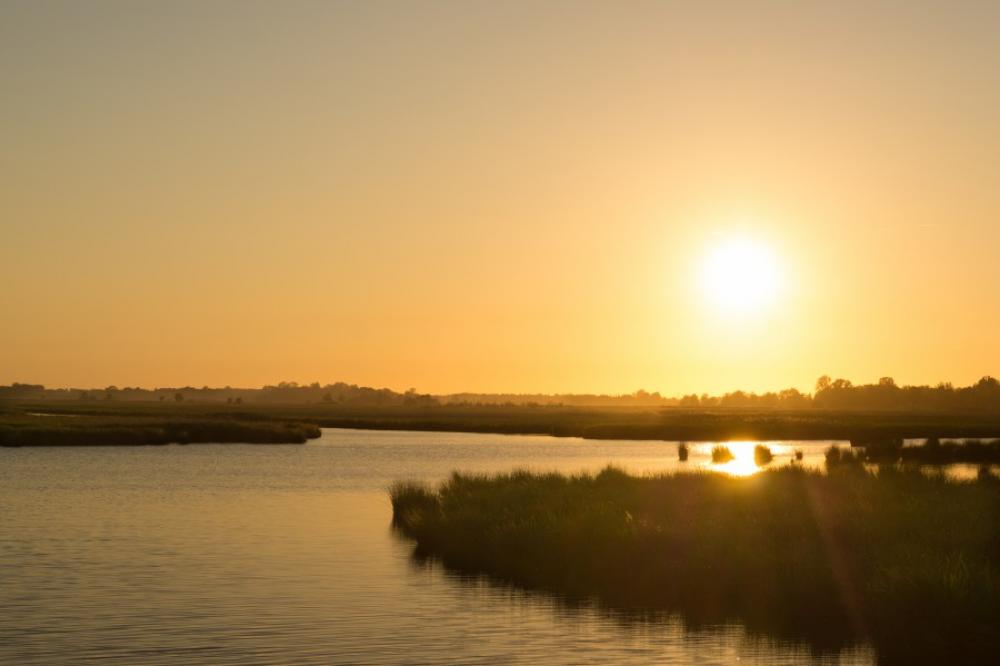 Sunny sunset at the lake Sunny sunset at the lake