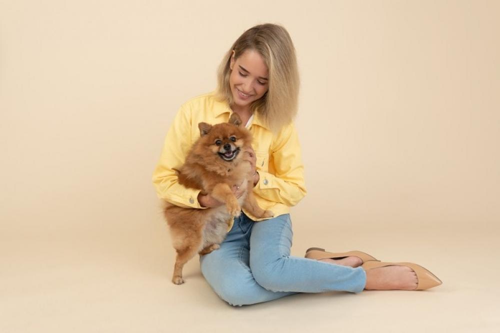 Young Girl Sitting And Holding A Spitz Dog Young Girl Sitting And Holding A Spitz Dog