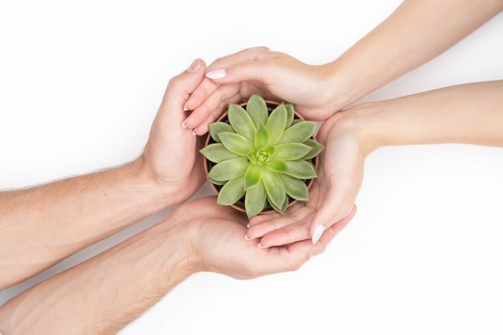 This Nice Plant Symbolizes Our Love This Nice Plant Symbolizes Our Love
