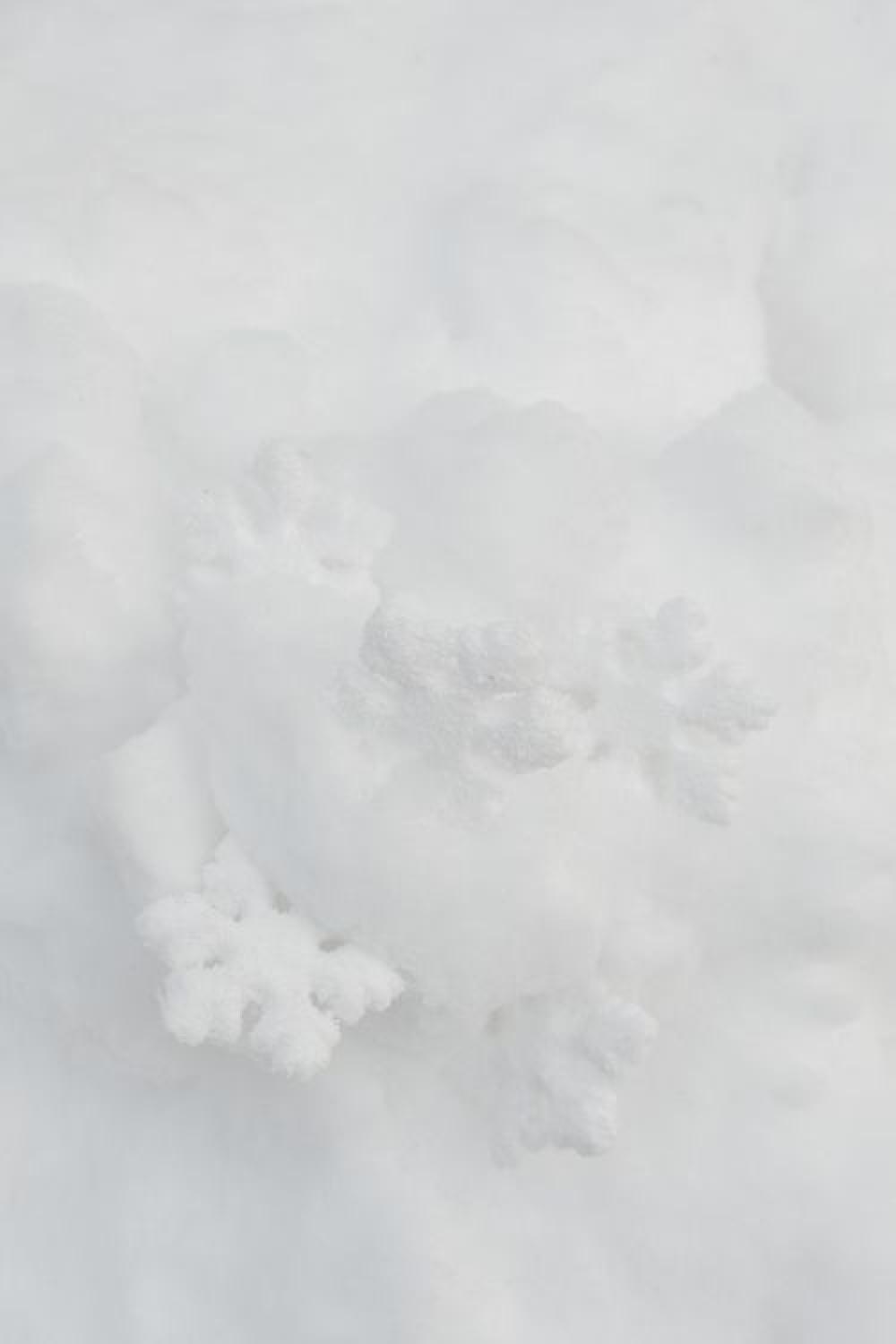 Decorative snowflakes on fresh snow Decorative snowflakes on fresh snow