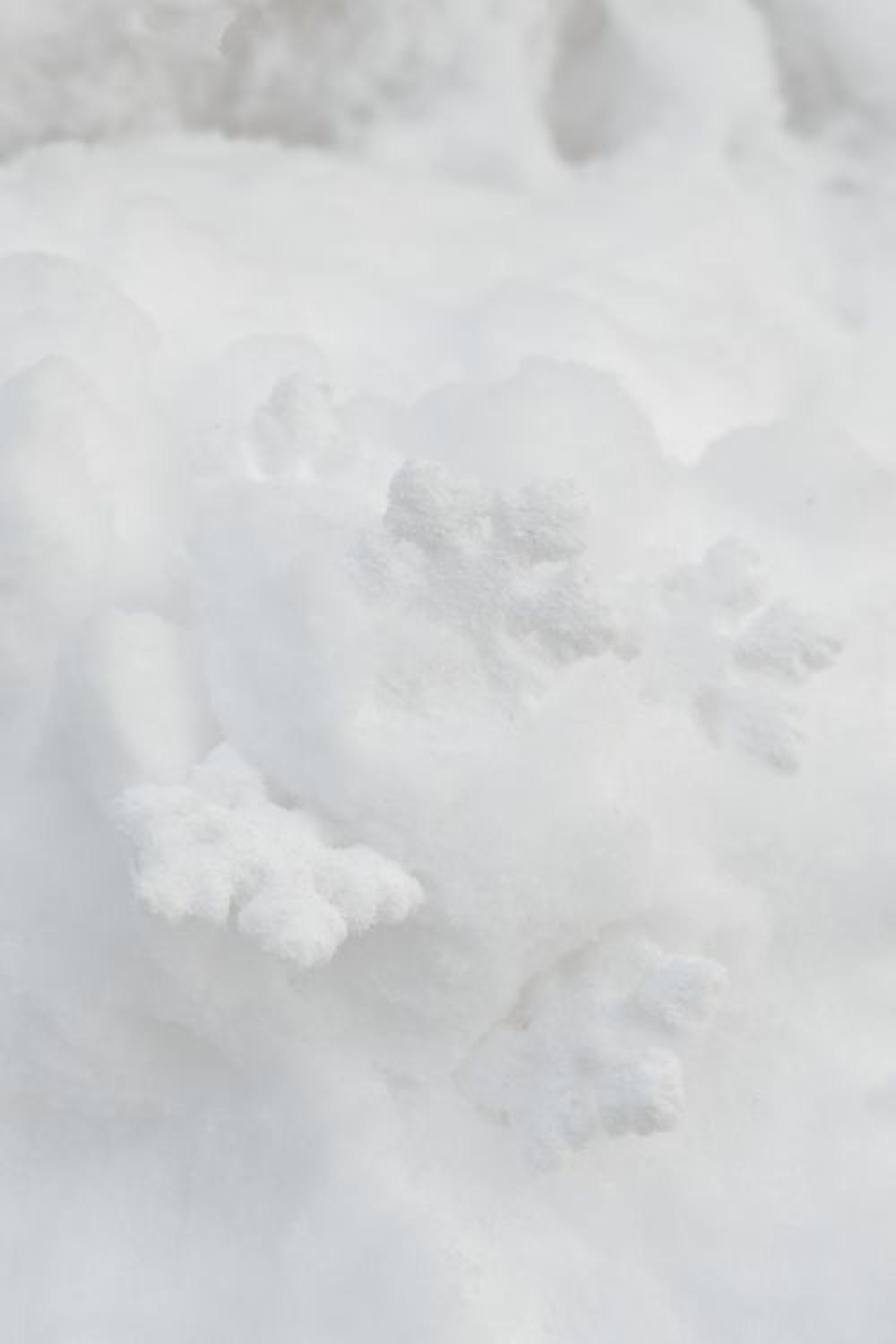 Decorative snowflakes on fresh snow Decorative snowflakes on fresh snow