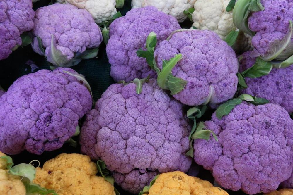 cauliflower vegetable food purple violet cauliflower vegetable food purple violet