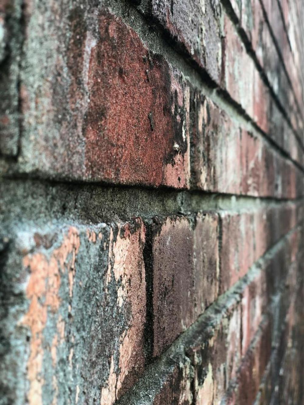 Brick brick texture Brick brick texture