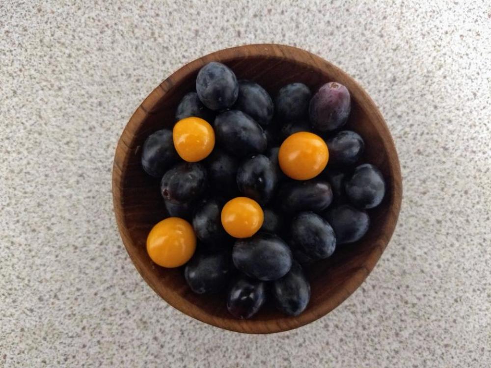 grapes bowl yellow Physalis contrast grapes bowl yellow Physalis contrast