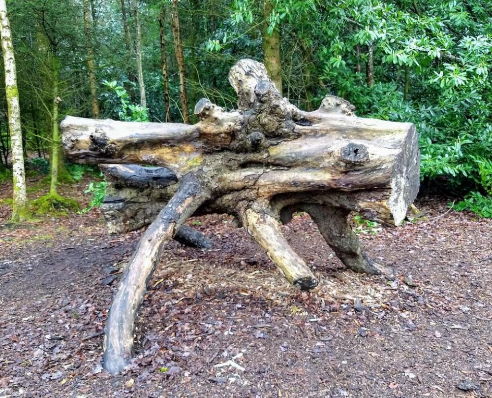tree monster trunk art tree monster trunk art