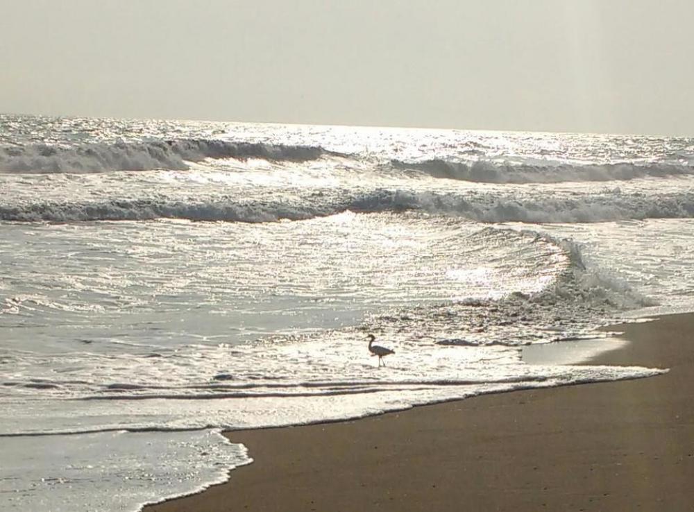 Ocean beach seashore Ocean beach seashore