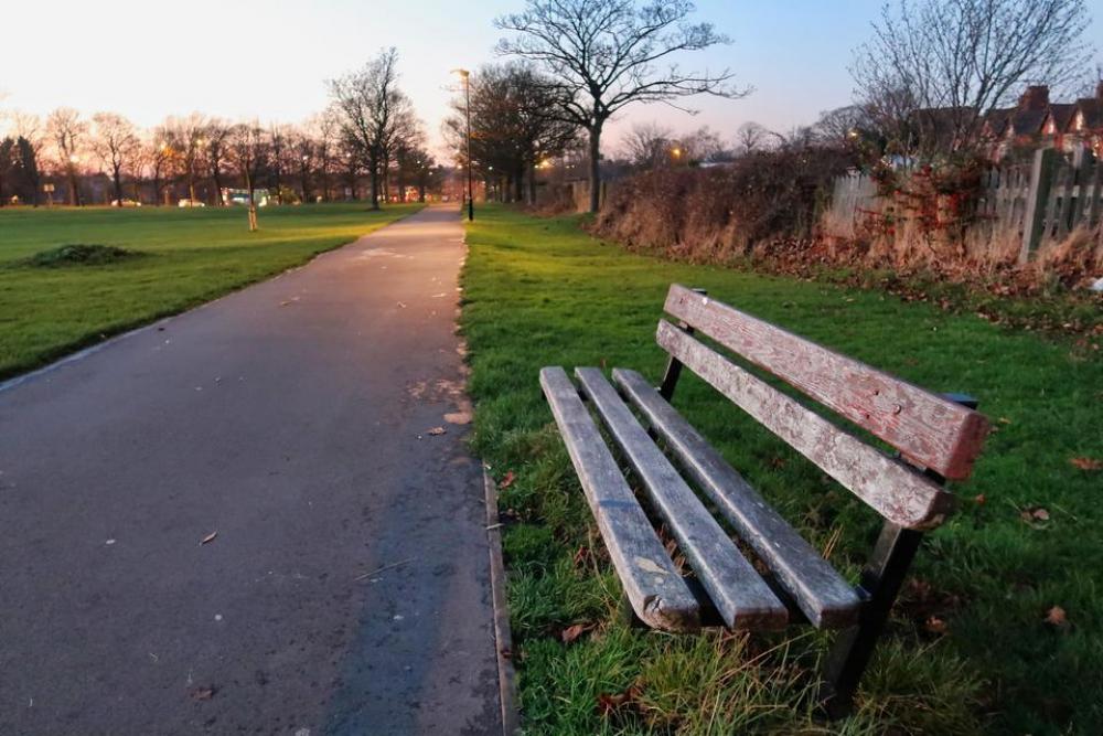 bench jesmond trees park fence bench jesmond trees park fence