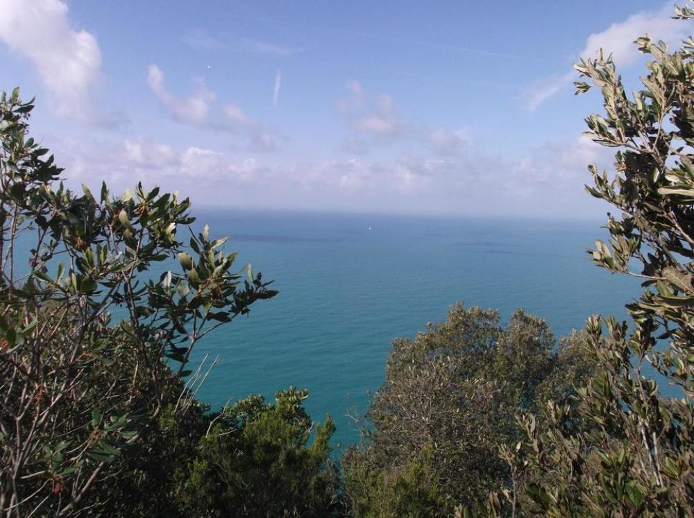 Ocean Ocean