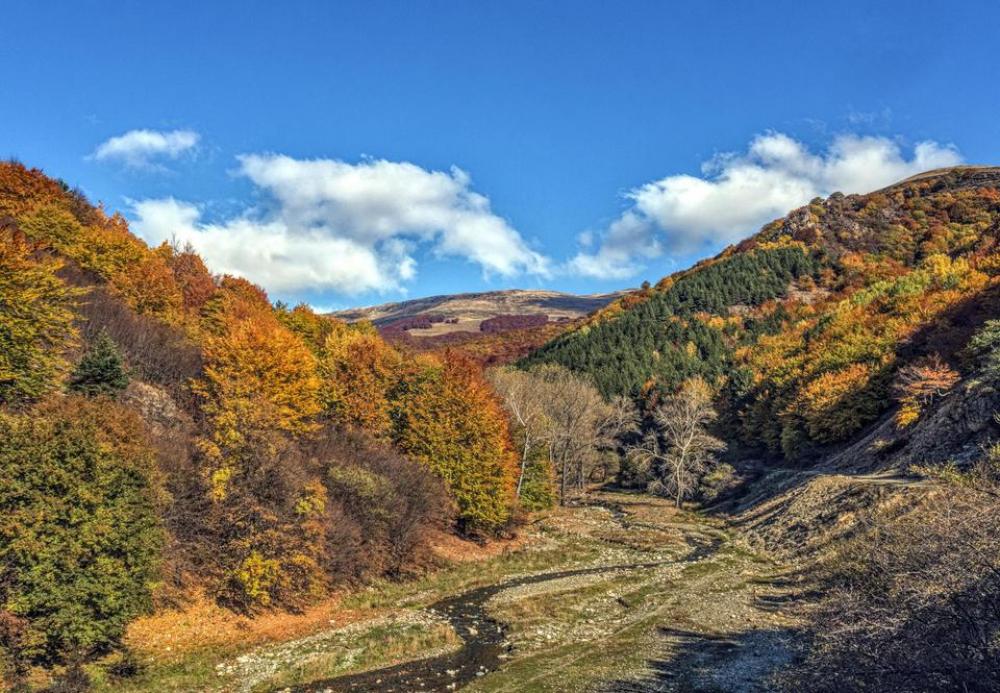 river valley autumn forest road river valley autumn forest road