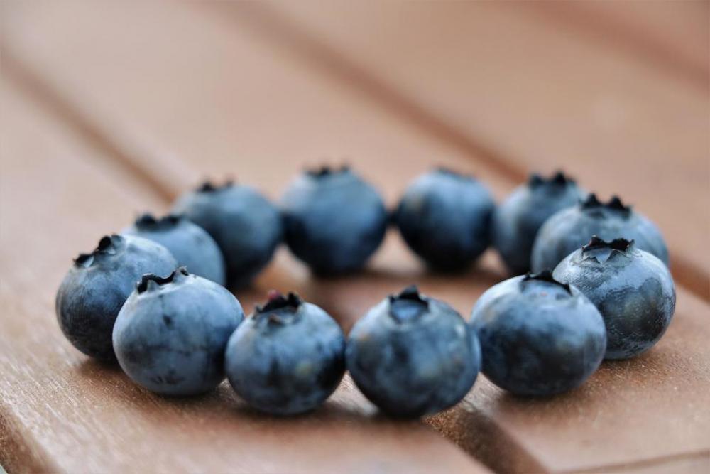 blueberries blue berries wood circle blueberries blue berries wood circle
