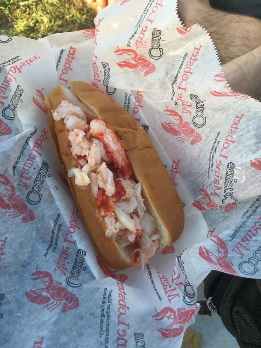 lobster lobster sandwich sandwich hoagie roll lobster lobster sandwich sandwich hoagie roll