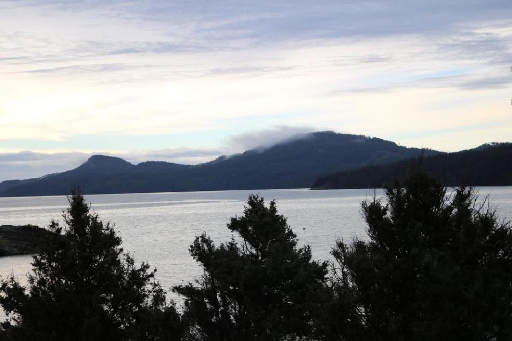 islands trees water Orcas Island Eastsound islands trees water Orcas Island Eastsound