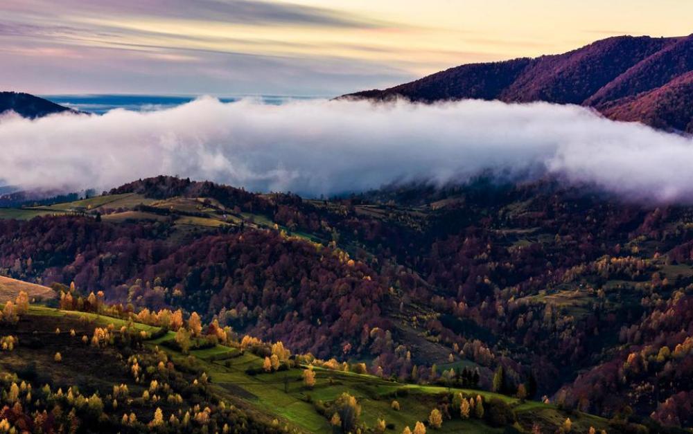 cloud; mountain; dawn; forest; autumn; fog; landscape; mist; sky; nature; view; peak; dark; dramatic; high; hill; morning; hillside; sunrise; valley; background; field; scenery; foggy; environment; season; plant; color; weather; haze; dusk; fresh; awake; early; colorful; majestic; slope; outdoor; scenic; fle; fall; top; scene; wood; red; vivid; spectacular; misty; sublime cloud; mountain; dawn; forest; autumn; fog; landscape; mist; sky; nature; view; peak; dark; dramatic; high; hill; morning; hillside; sunrise; valley; background; field; scenery; foggy; environment; season; plant; color; weather; haze; dusk; fresh; awake; early; colorful; majestic; slope; outdoor; scenic; fle; fall; top; scene; wood; red; vivid; spectacular; misty; sublime